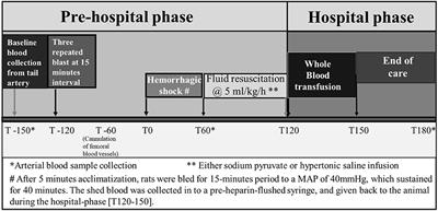 A Novel Therapeutic Approach With Sodium Pyruvate on Vital Signs, Acid–Base, and Metabolic Disturbances in Rats With a Combined Blast and Hemorrhagic Shock